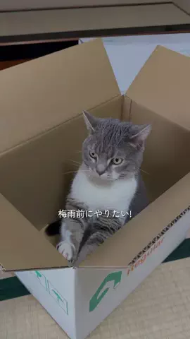 ゆうたの節約メモのTikTok投稿