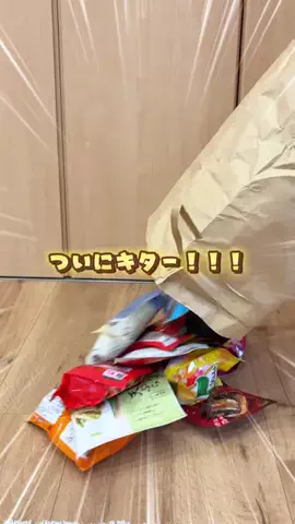 あるママのTikTok投稿
