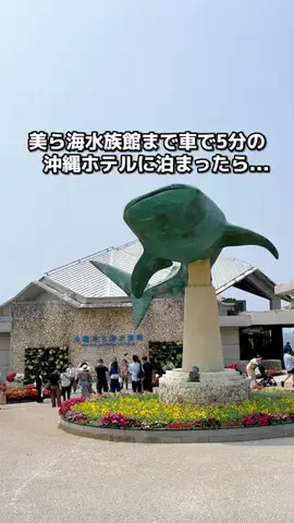 ちょこもち旅@兵庫からコスパ旅行のTikTok投稿