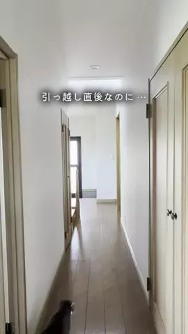 ゆうたの節約メモのTikTok投稿