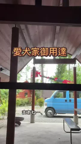 #犬好き集合 #わんこメロメロおじさん #華麗家たいしょーのTikTok投稿