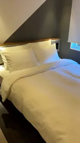 デンじょーの旅のTikTok投稿