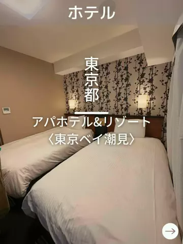 デンじょーの旅のTikTok投稿