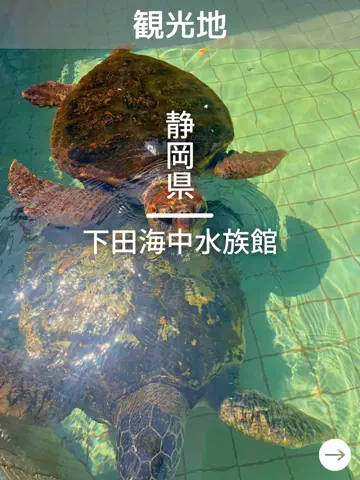 デンじょーの旅のTikTok投稿