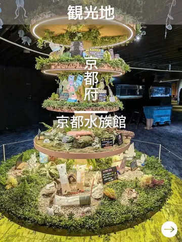 デンじょーの旅のTikTok投稿