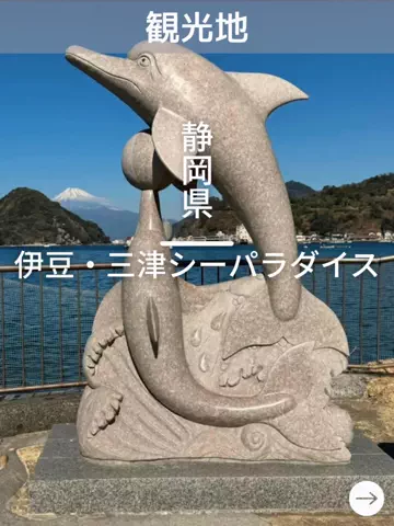 デンじょーの旅のTikTok投稿