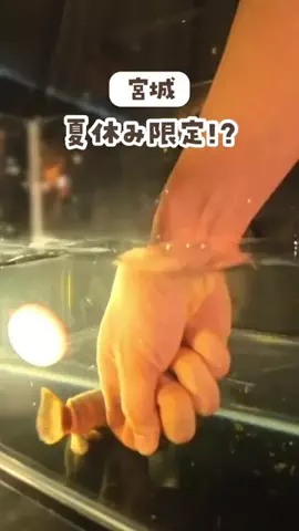 sendai.mamagramのTikTok投稿