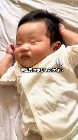 mii♥︎︎愛知から子供とお出かけのTikTok投稿