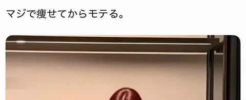 コキンちゃんのTikTok投稿