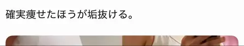 コキンちゃんのTikTok投稿
