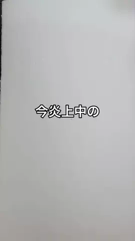 大阪のスマホオタクはっすーのTikTok投稿