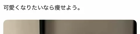 コキンちゃんのTikTok投稿
