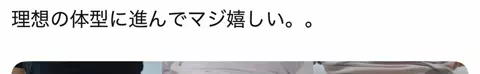 コキンちゃんのTikTok投稿