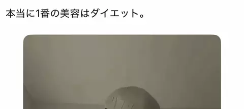 コキンちゃんのTikTok投稿