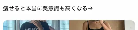 コキンちゃんのTikTok投稿