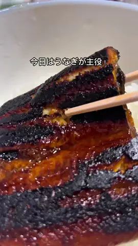TikTok Shopで飯食えだした車好きのTikTok投稿
