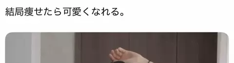 コキンちゃんのTikTok投稿