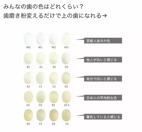 コキンちゃんのTikTok投稿