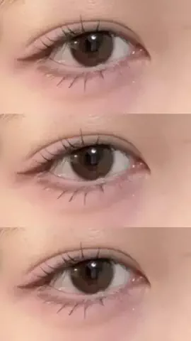 🐻のTikTok投稿