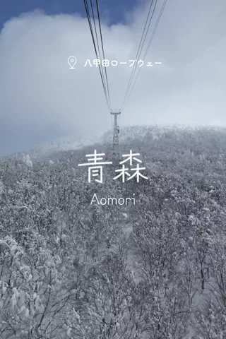 Haruka.MのTikTok投稿