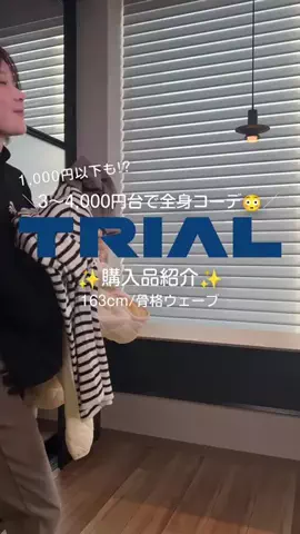 熊本ギャン！ギャン！ギャン！のTikTok投稿