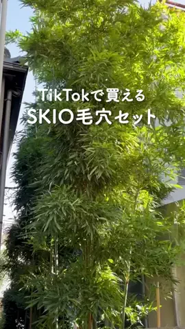 @beautyandmoreのTikTok投稿
