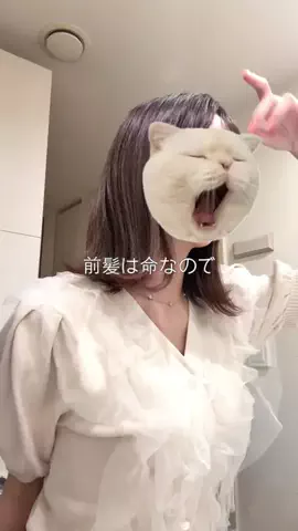 𝘙𝘦𝘯のTikTok投稿