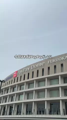 Ballpark StyleのTikTok投稿