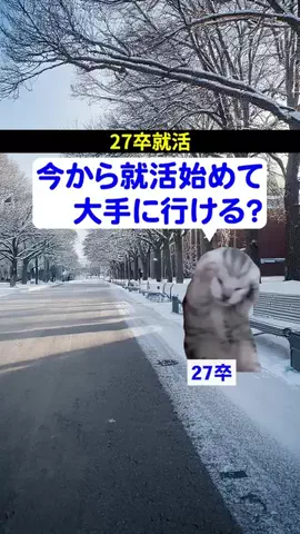 就活猫猫のTikTok投稿