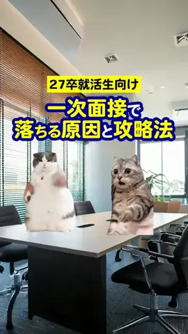 就活猫猫のTikTok投稿