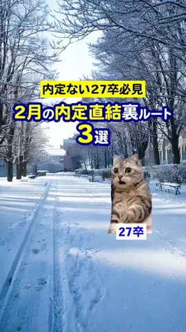 就活猫猫のTikTok投稿