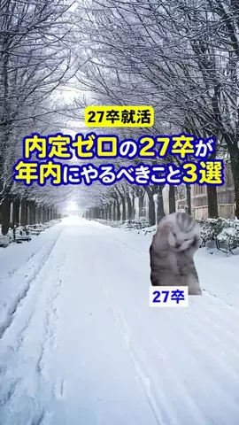 就活猫猫のTikTok投稿