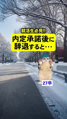 就活猫猫のTikTok投稿