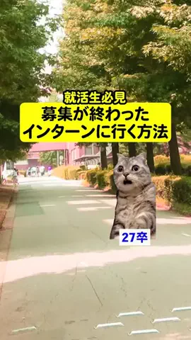就活猫猫のTikTok投稿