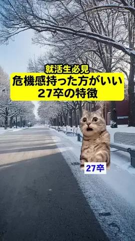 就活猫猫のTikTok投稿