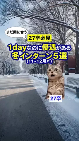 就活猫猫のTikTok投稿