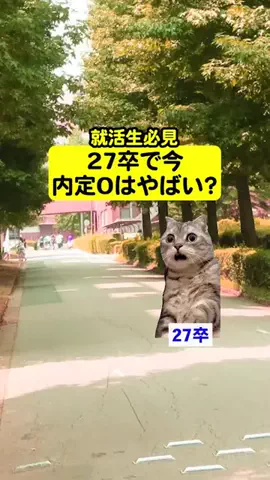 就活猫猫のTikTok投稿