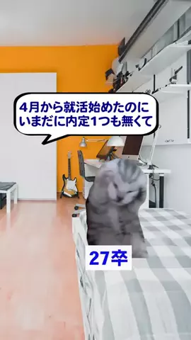 就活猫猫のTikTok投稿