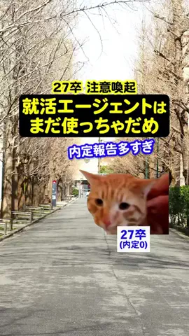 就活猫猫のTikTok投稿