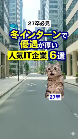 就活猫猫のTikTok投稿