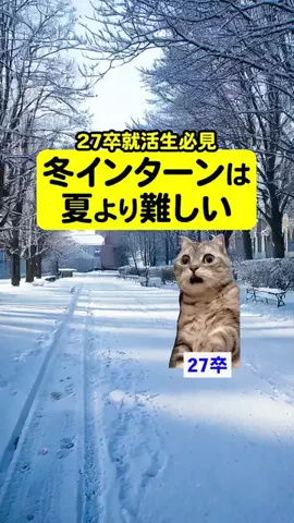 就活猫猫のTikTok投稿