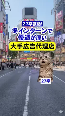 就活猫猫のTikTok投稿