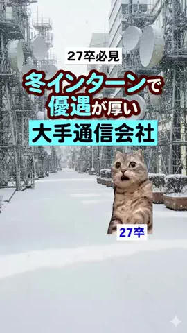 就活猫猫のTikTok投稿