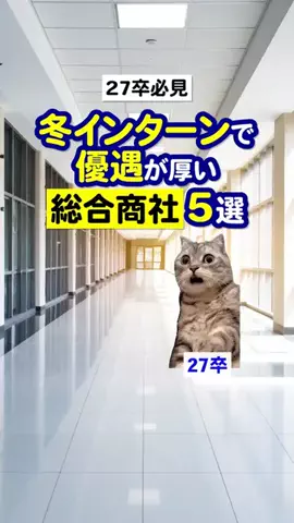 就活猫猫のTikTok投稿