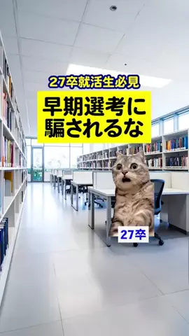 就活猫猫のTikTok投稿