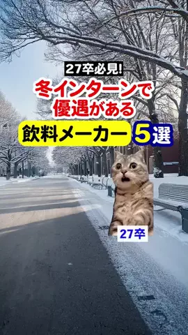 就活猫猫のTikTok投稿