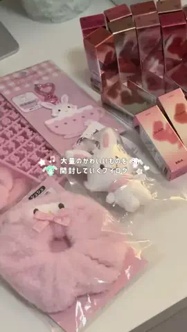 はぽのお部屋のTikTok投稿