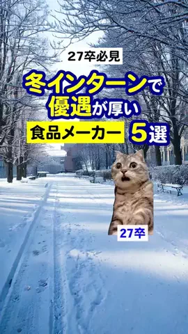 就活猫猫のTikTok投稿
