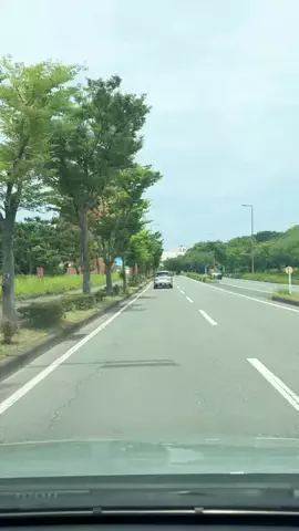ふくまる旅のTikTok投稿