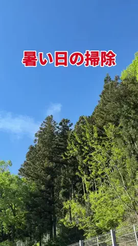 ごのくら｜ズボラ夫のラクする暮らしのTikTok投稿